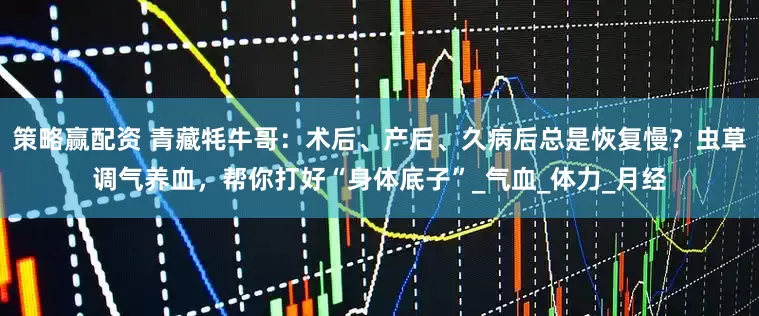策略赢配资 青藏牦牛哥：术后、产后、久病后总是恢复慢？虫草调气养血，帮你打好“身体底子”_气血_体力_月经